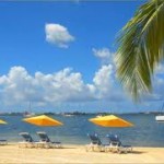 vacation packages