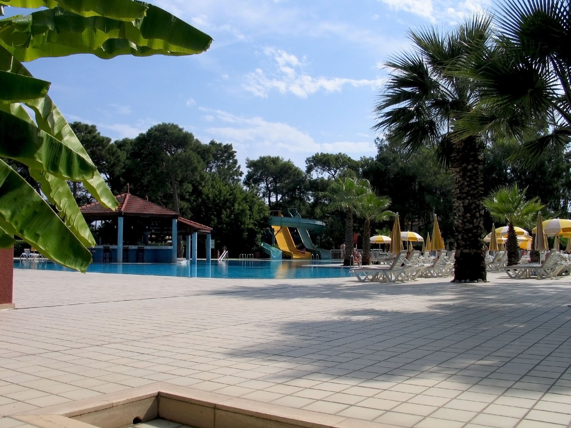 Are You Looking For Orlando FL Vacation Packages?