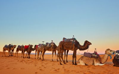 Why Families Love a 3-Day Tour From Marrakech To Merzouga Desert for Unforgettable Memories